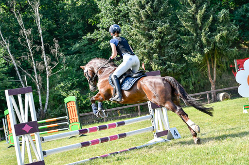 Reitturnier Harburger RV  16.7.2021 | 16072021 Stilspringpfg E_446-2 