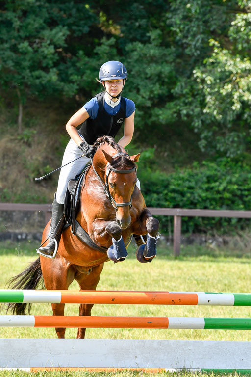 Reitturnier Harburger RV  16.7.2021 | 16072021 Stilspringpfg E_447-2 