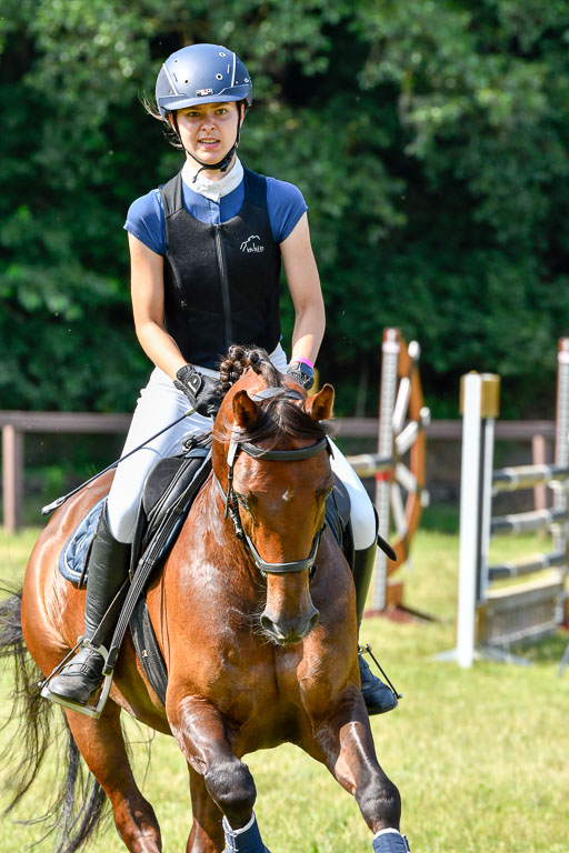 Reitturnier Harburger RV  16.7.2021 | 16072021 Stilspringpfg E_449-2 