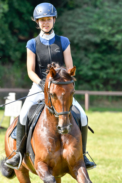 Reitturnier Harburger RV  16.7.2021 | 16072021 Stilspringpfg E_451-2 