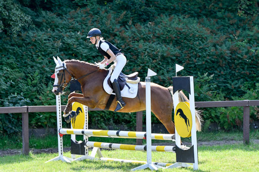 Reitturnier Harburger RV  16.7.2021 | 16072021 Stilspringpfg E_454-2 
