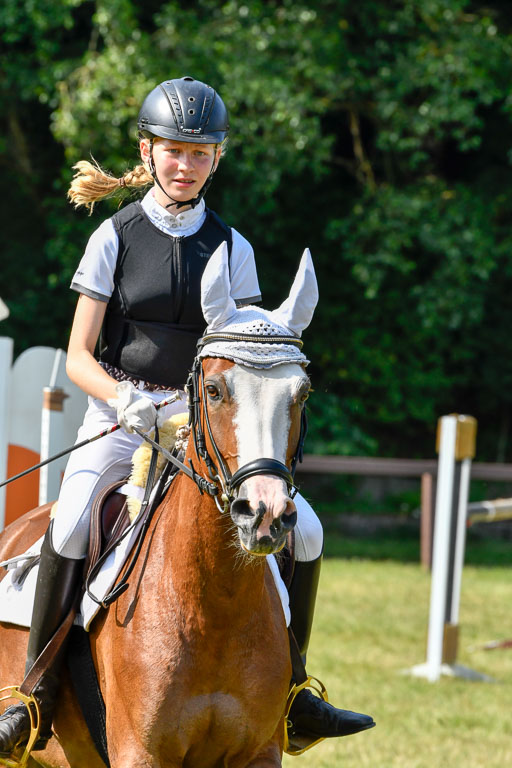 Reitturnier Harburger RV  16.7.2021 | 16072021 Stilspringpfg E_458-2 