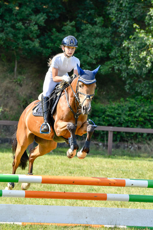 Reitturnier Harburger RV  16.7.2021 | 16072021 Stilspringpfg E_464-2 