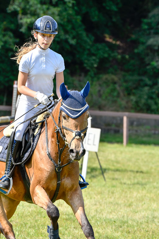 Reitturnier Harburger RV  16.7.2021 | 16072021 Stilspringpfg E_465-2 