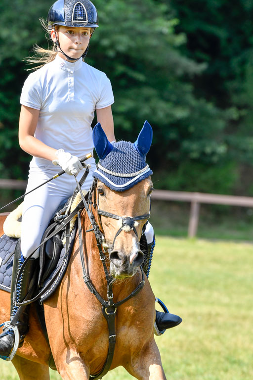 Reitturnier Harburger RV  16.7.2021 | 16072021 Stilspringpfg E_466-2 