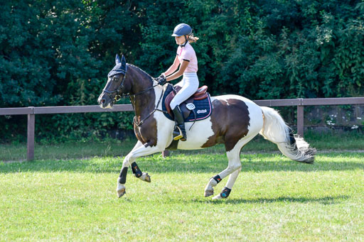 Reitturnier Harburger RV  16.7.2021 | 16072021 Stilspringpfg E_480-2 