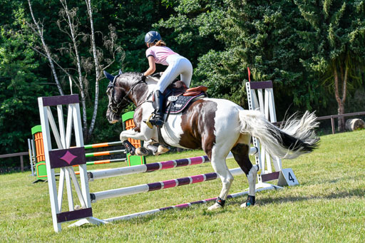Reitturnier Harburger RV  16.7.2021 | 16072021 Stilspringpfg E_484-2 