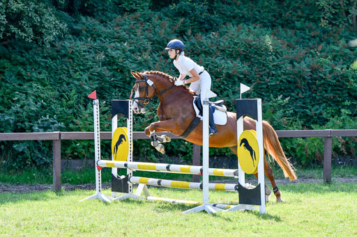 Reitturnier Harburger RV  16.7.2021 | 16072021 Stilspringpfg E_490-2 