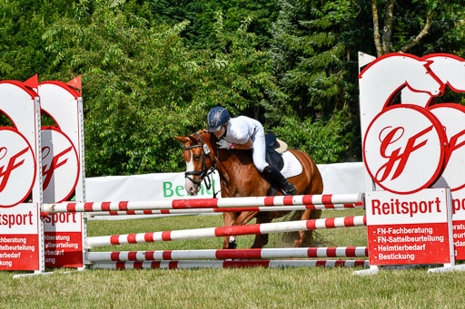 Reitturnier Harburger RV  16.7.2021 | 16072021 Stilspringpfg E_492-2 