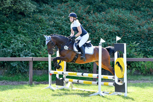 Reitturnier Harburger RV  16.7.2021 | 16072021 Stilspringpfg E_502-2 