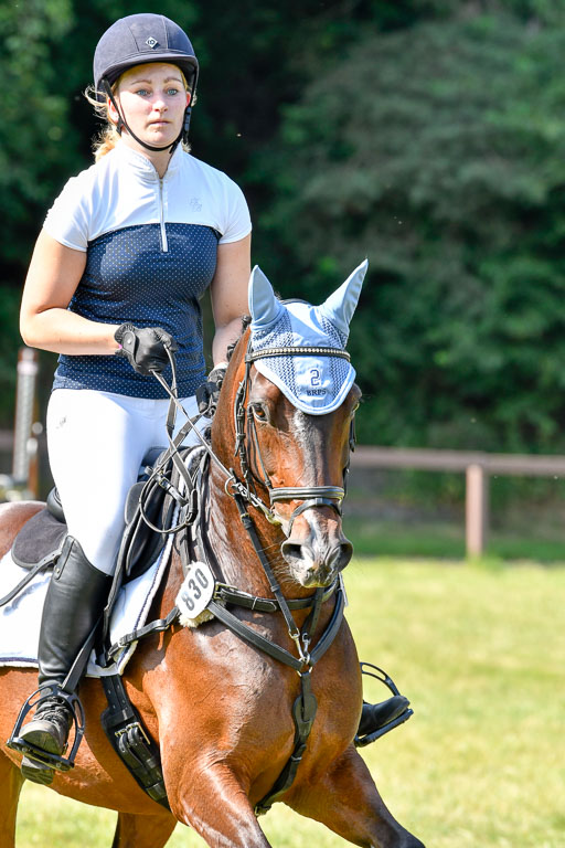 Reitturnier Harburger RV  16.7.2021 | 16072021 Stilspringpfg E_506-2 