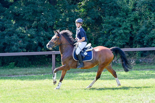 Reitturnier Harburger RV  16.7.2021 | 16072021 Stilspringpfg E_519-2 