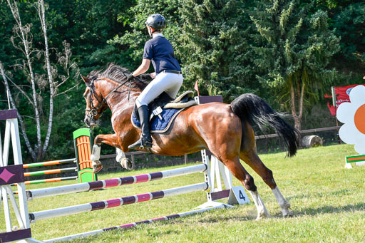 Reitturnier Harburger RV  16.7.2021 | 16072021 Stilspringpfg E_523-2 