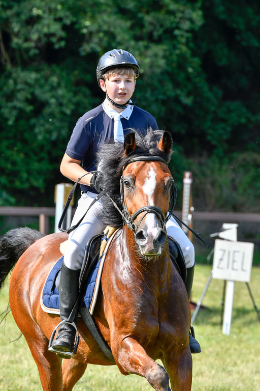 Reitturnier Harburger RV  16.7.2021 | 16072021 Stilspringpfg E_527-2 