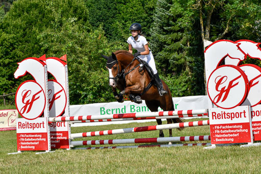Reitturnier Harburger RV  16.7.2021 | 16072021 Stilspringpfg E_531-2 