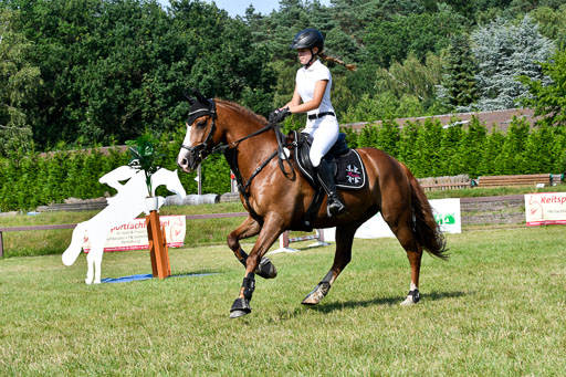 Reitturnier Harburger RV  16.7.2021 | 16072021 Stilspringpfg E_532-2 