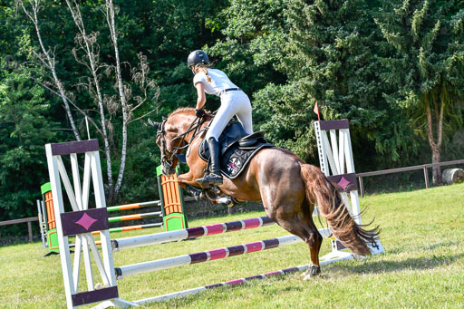 Reitturnier Harburger RV  16.7.2021 | 16072021 Stilspringpfg E_533-2 