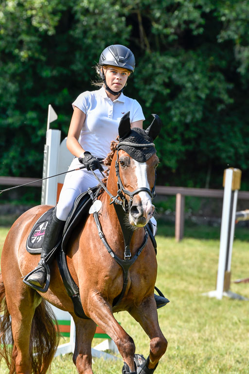 Reitturnier Harburger RV  16.7.2021 | 16072021 Stilspringpfg E_536-2 