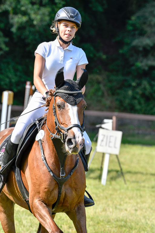 Reitturnier Harburger RV  16.7.2021 | 16072021 Stilspringpfg E_537-2 