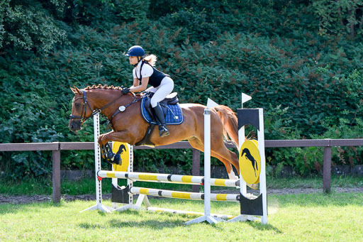 Reitturnier Harburger RV  16.7.2021 | 16072021 Stilspringpfg E_551-2 