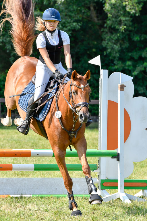 Reitturnier Harburger RV  16.7.2021 | 16072021 Stilspringpfg E_555-2 