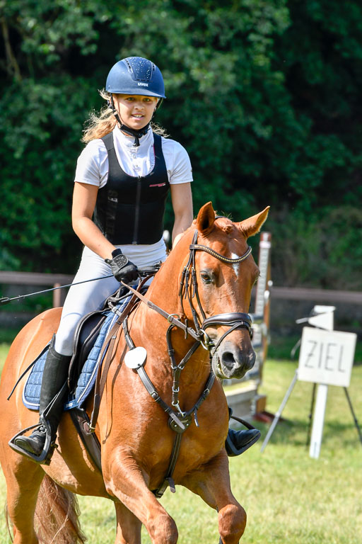 Reitturnier Harburger RV  16.7.2021 | 16072021 Stilspringpfg E_556-2 