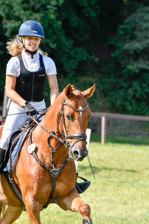 Reitturnier Harburger RV  16.7.2021 | 16072021 Stilspringpfg E_557-2 