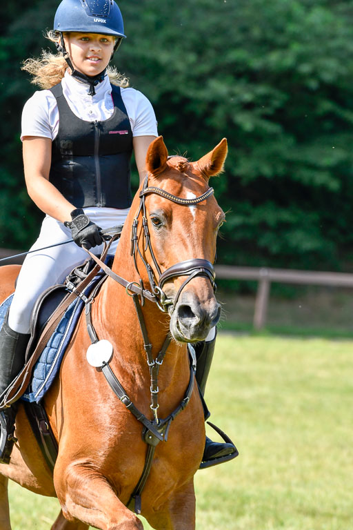 Reitturnier Harburger RV  16.7.2021 | 16072021 Stilspringpfg E_558-2 