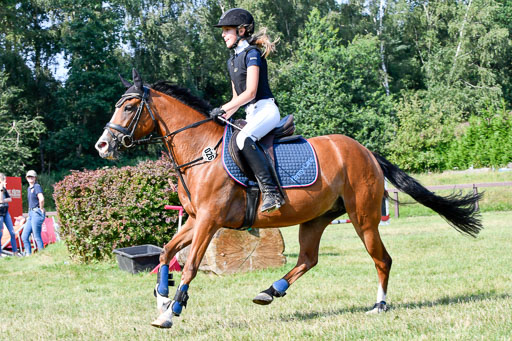 Reitturnier Harburger RV  16.7.2021 | 16072021 Stilspringpfg E_564-2 