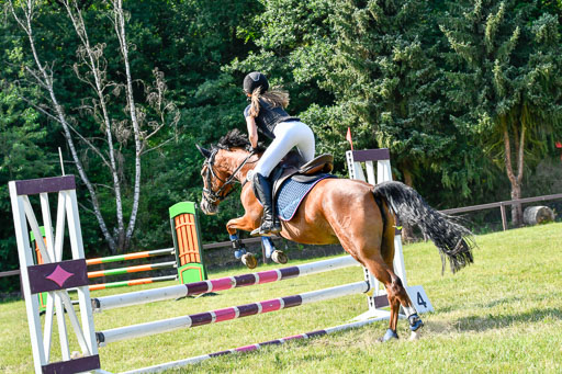 Reitturnier Harburger RV  16.7.2021 | 16072021 Stilspringpfg E_565-2 