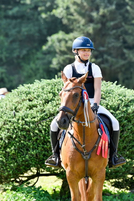 Reitturnier Harburger RV  16.7.2021 | 16072021 Stilspringpfg E_577-2 