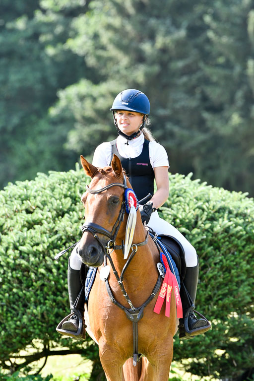 Reitturnier Harburger RV  16.7.2021 | 16072021 Stilspringpfg E_578-2 