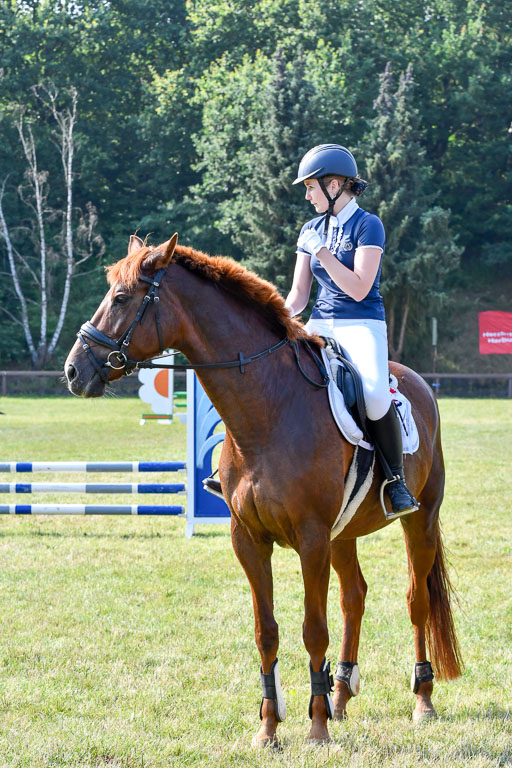 Reitturnier Harburger RV  16.7.2021 | 16072021 Stilspringpfg E_597-2 