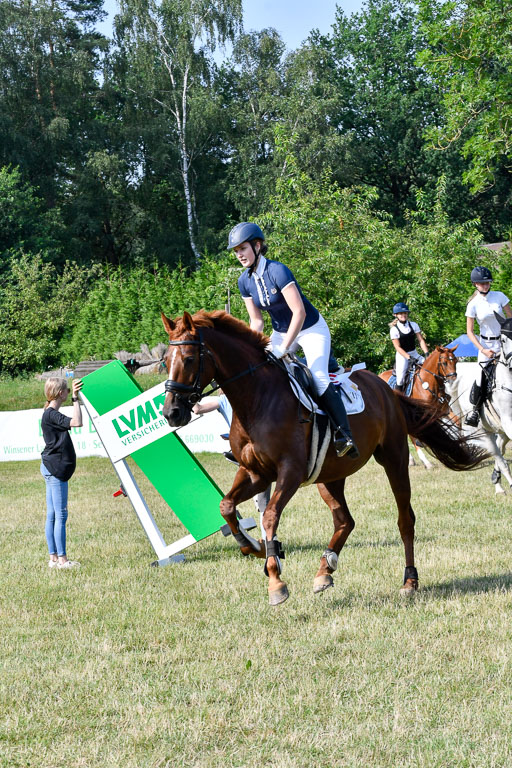 Reitturnier Harburger RV  16.7.2021 | 16072021 Stilspringpfg E_599-2 