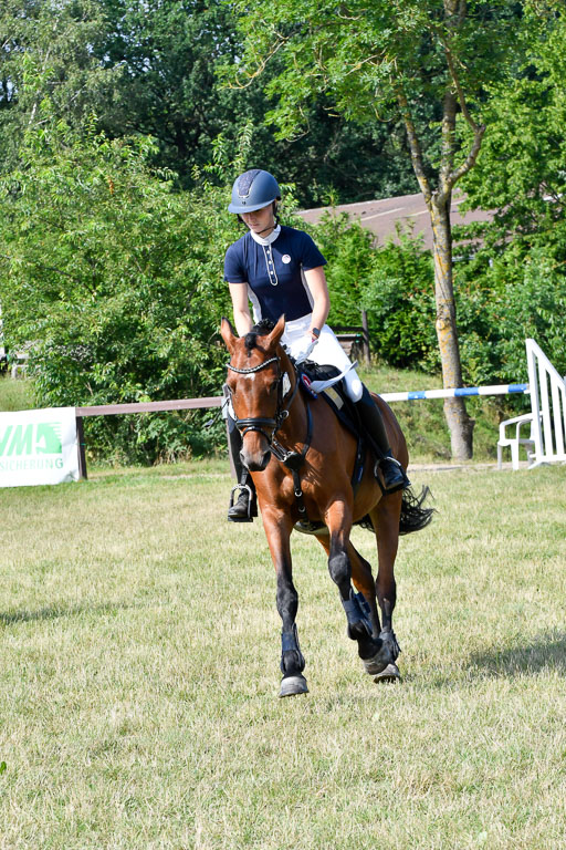 Reitturnier Harburger RV  16.7.2021 | 16072021 Stilspringpfg E_603-2 