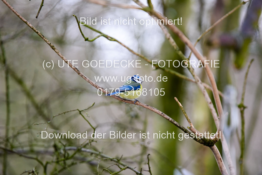  | DSC_8678 