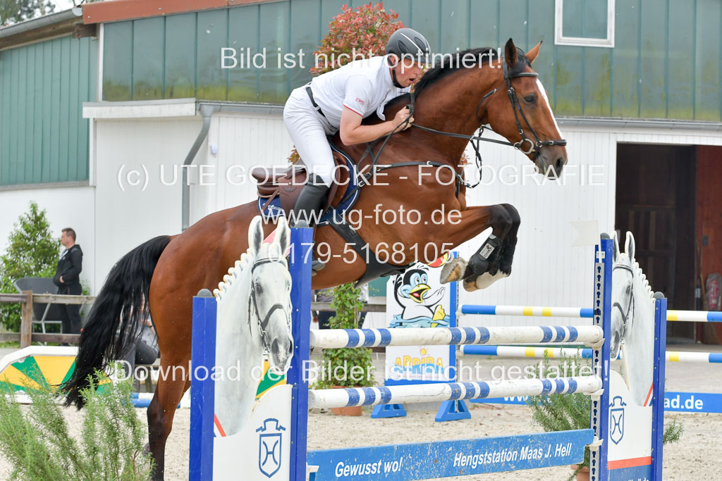 Reitturnier Klein Offensteh  Hengststation Hell | 06062021 Klein Offenseth_100 