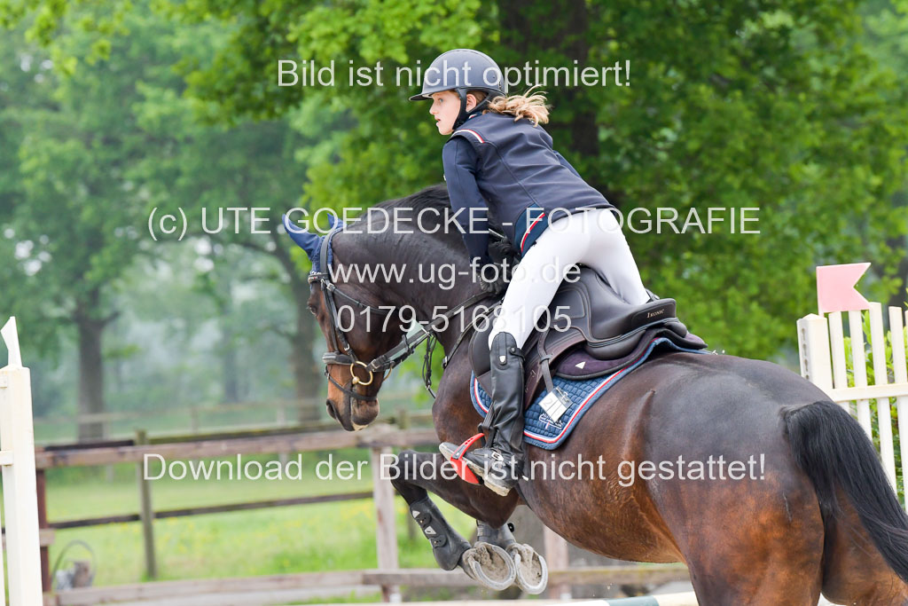 Reitturnier Klein Offensteh Hengststation Hell | 06062021 Klein Offenseth_130