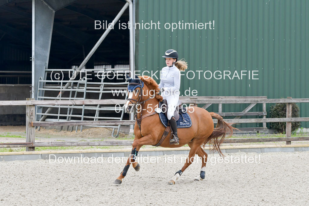 Reitturnier Klein Offensteh Hengststation Hell | 06062021 Klein Offenseth_145