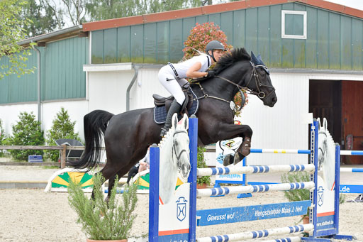Reitturnier Klein Offensteh  Hengststation Hell | 06062021 Klein Offenseth_049 