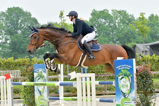 Reitturnier Klein Offensteh  Hengststation Hell | 06062021 Klein Offenseth_076 