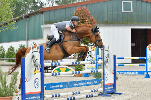 Reitturnier Klein Offensteh  Hengststation Hell | 06062021 Klein Offenseth_092 