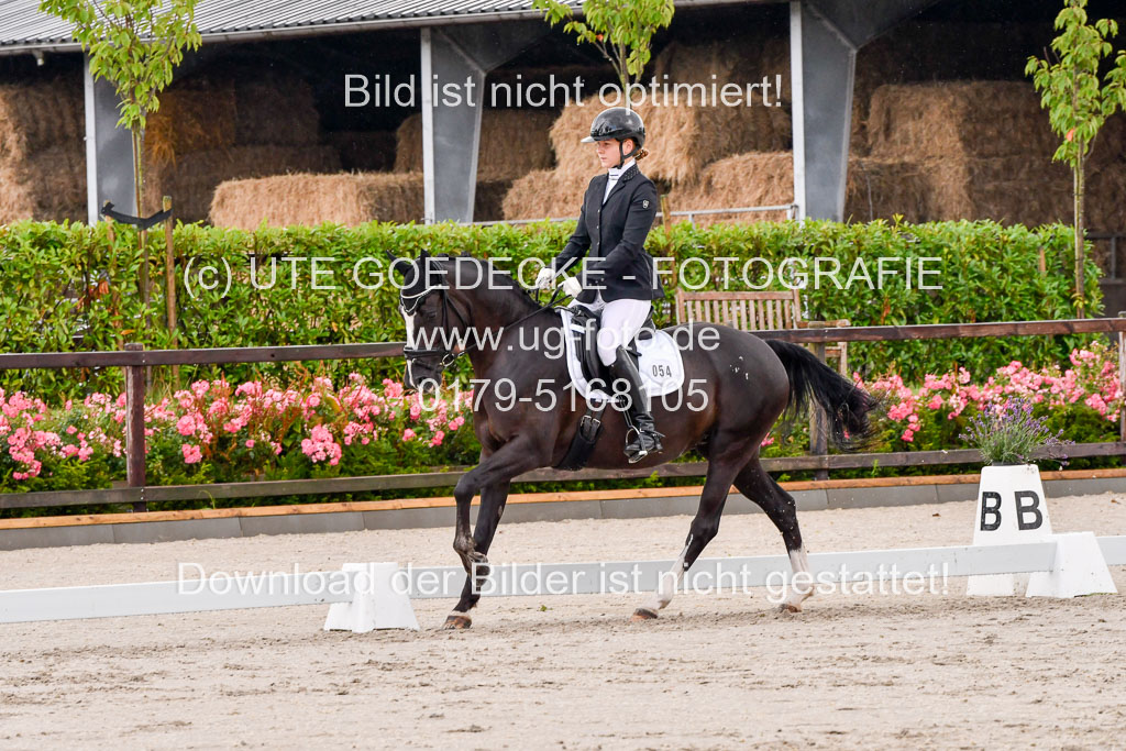 Klein Offenseth Dresur 1.8.2021 | 01082021 Dressur A2