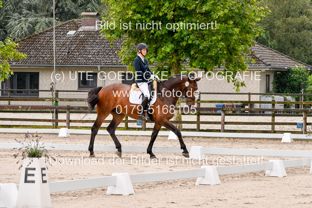 Klein Offenseth Dresur  1.8.2021 | 01082021 Dressur A2_07 