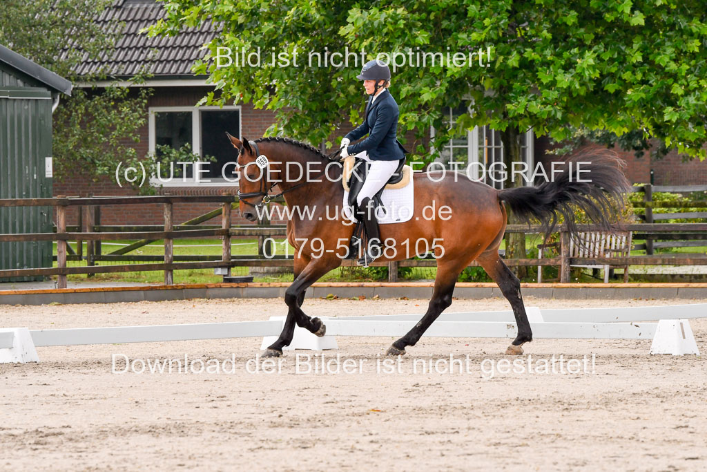 Klein Offenseth Dresur  1.8.2021 | 01082021 Dressur A2_11 