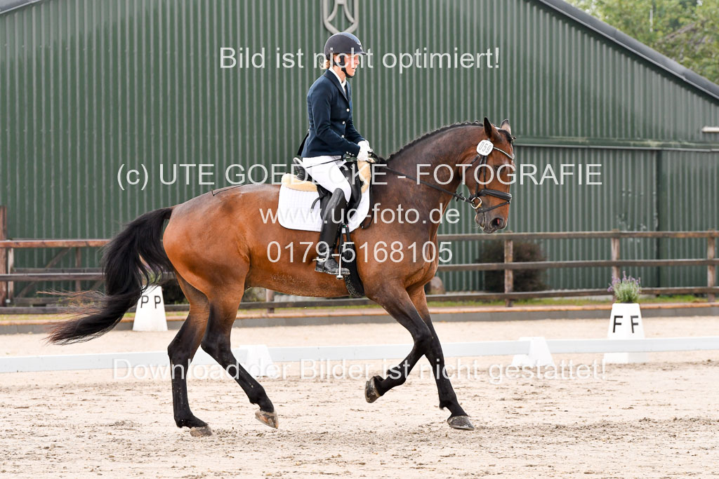 Klein Offenseth Dresur  1.8.2021 | 01082021 Dressur A2_15 