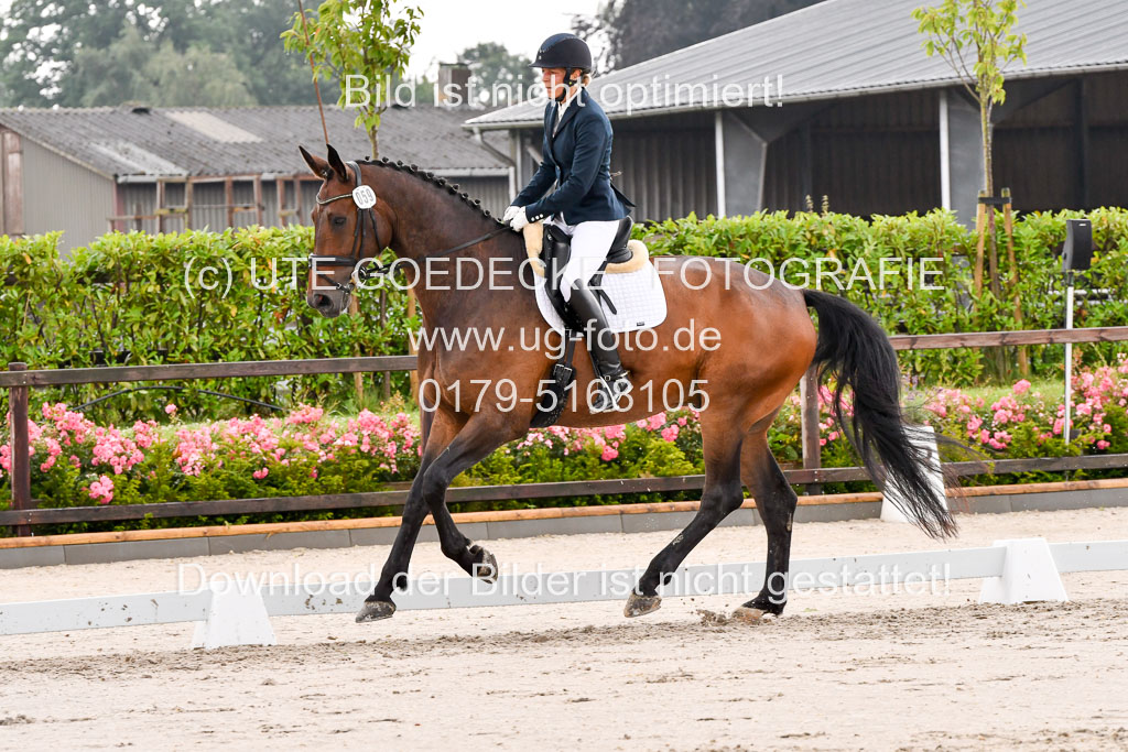 Klein Offenseth Dresur  1.8.2021 | 01082021 Dressur A2_17 