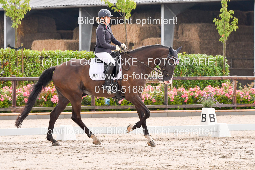 Klein Offenseth Dresur  1.8.2021 | 01082021 Dressur A2_25 