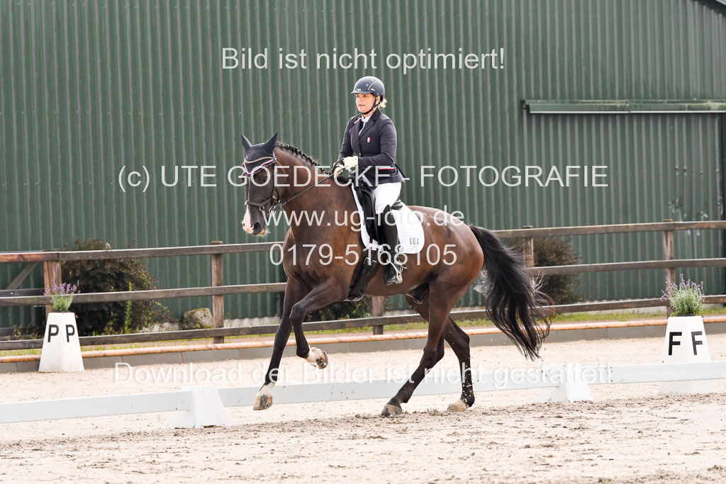 Klein Offenseth Dresur 1.8.2021 | 01082021 Dressur A2_28
