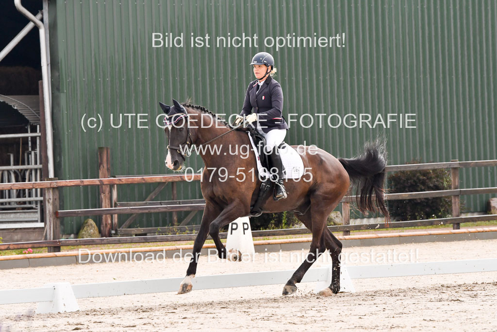 Klein Offenseth Dresur  1.8.2021 | 01082021 Dressur A2_30 